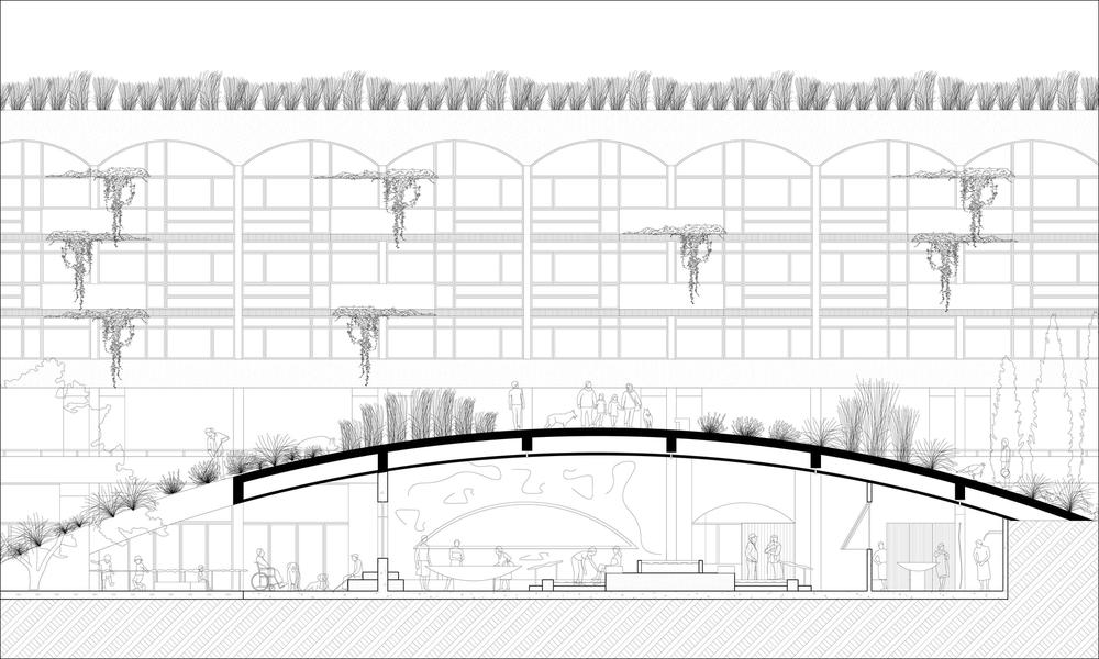 Baths: Hill Section - Digital drawing